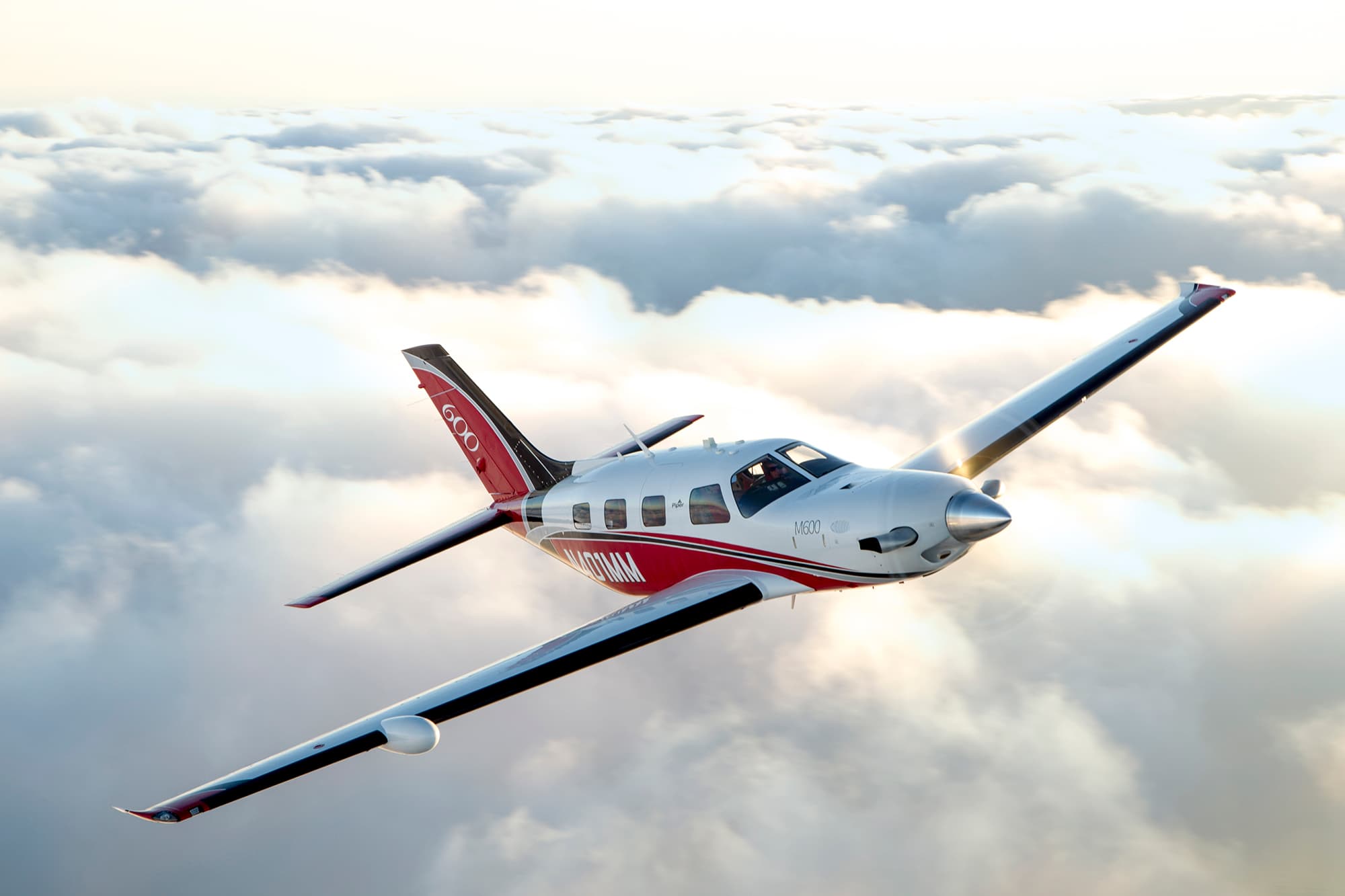 Piper Aircraft cover
